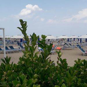 spiaggia